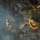 Illustration for article titled Stunning photos show the ancient tradition of honey hunting in Nepal